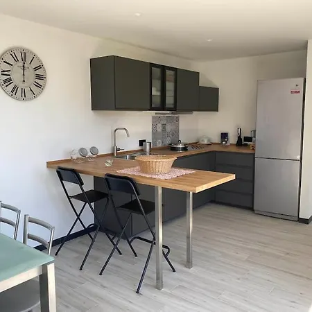 Shiverty פייבה ליגורה