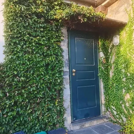 Shiverty * Pieve Ligure